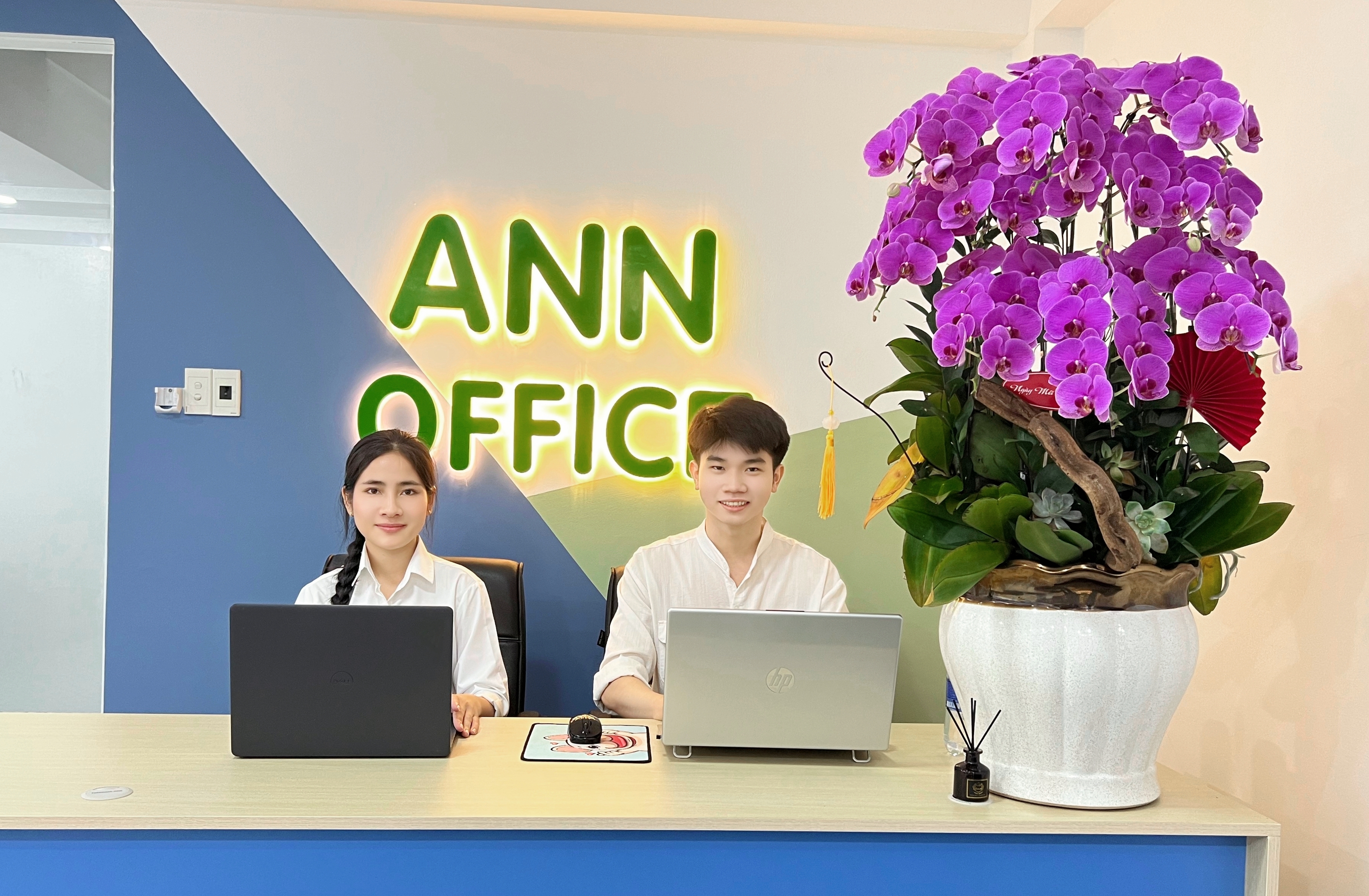 ANN OFFICE banner 3